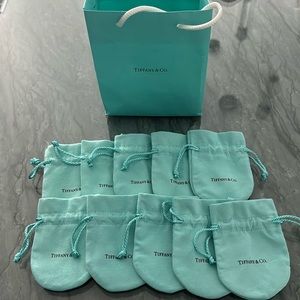 Tiffany and co pouch bag